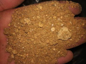 黄泥土干的不是会板结吗,为什么这个是颗粒状的 