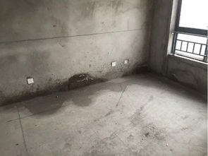 南京花语江南楼盘的三栋房子 土地被抵押了